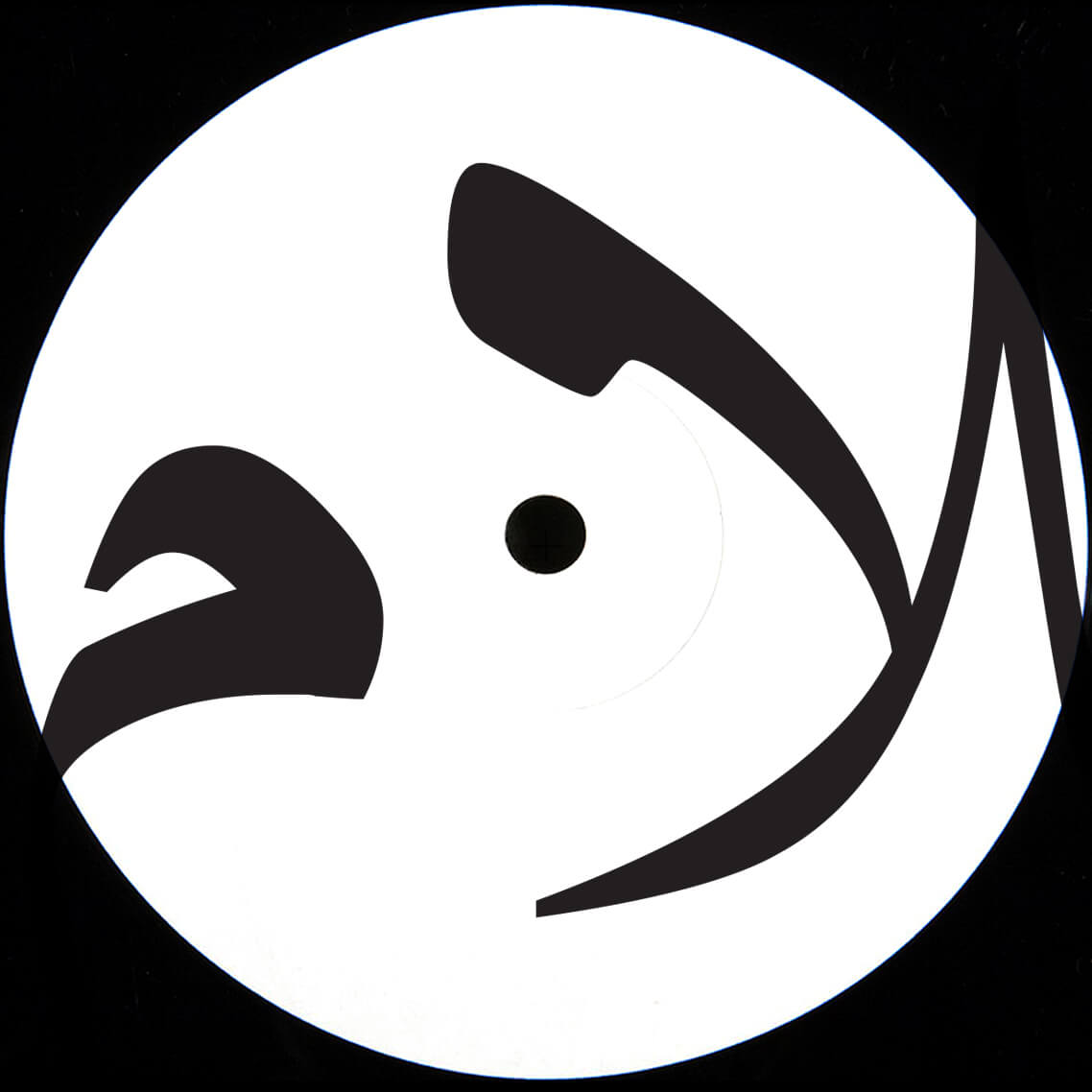 2. SHLM - Amaiti