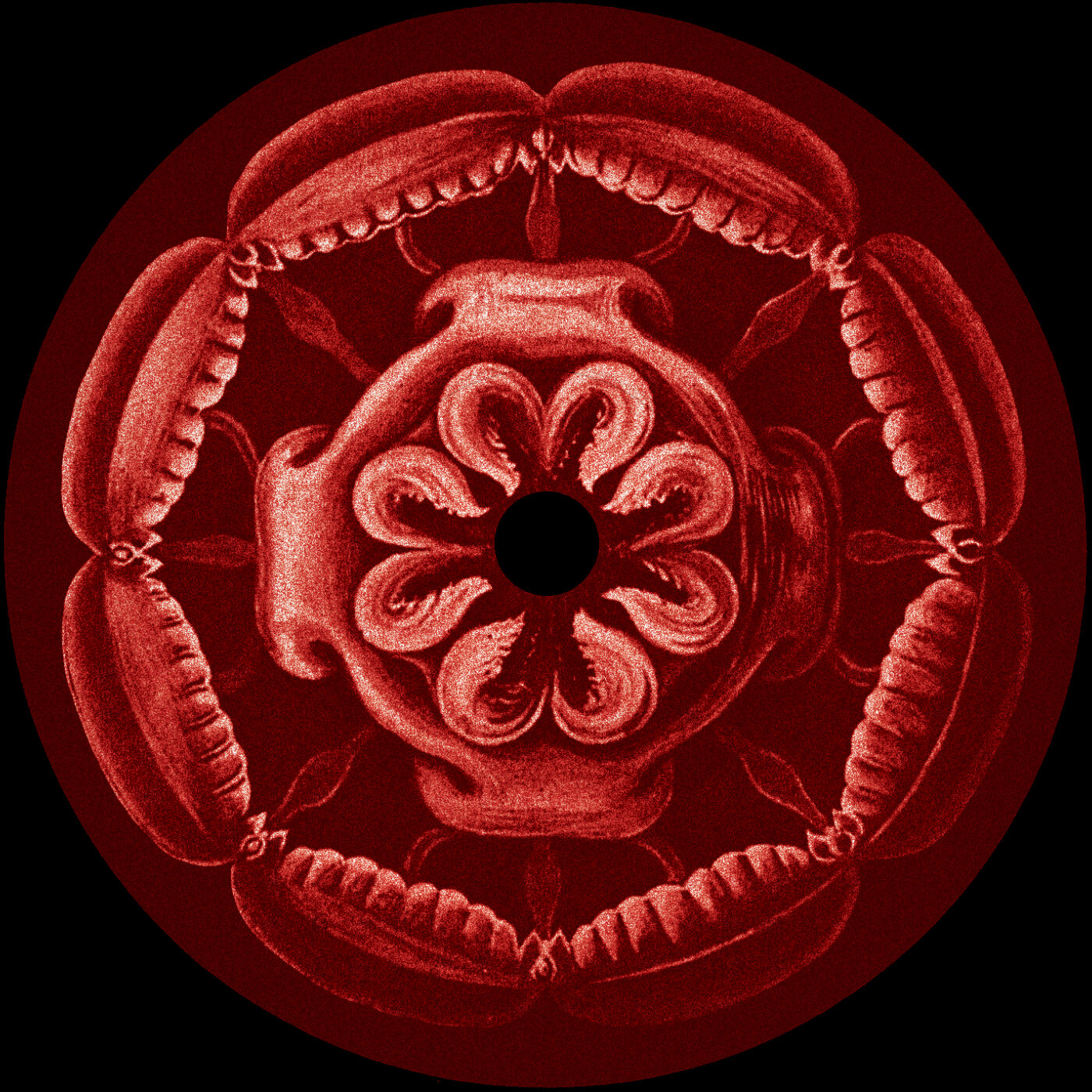 1. Nick Beringer - BRNGR444