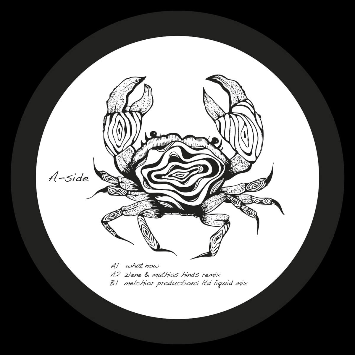 2. Shadi Megallaa - What Now EP