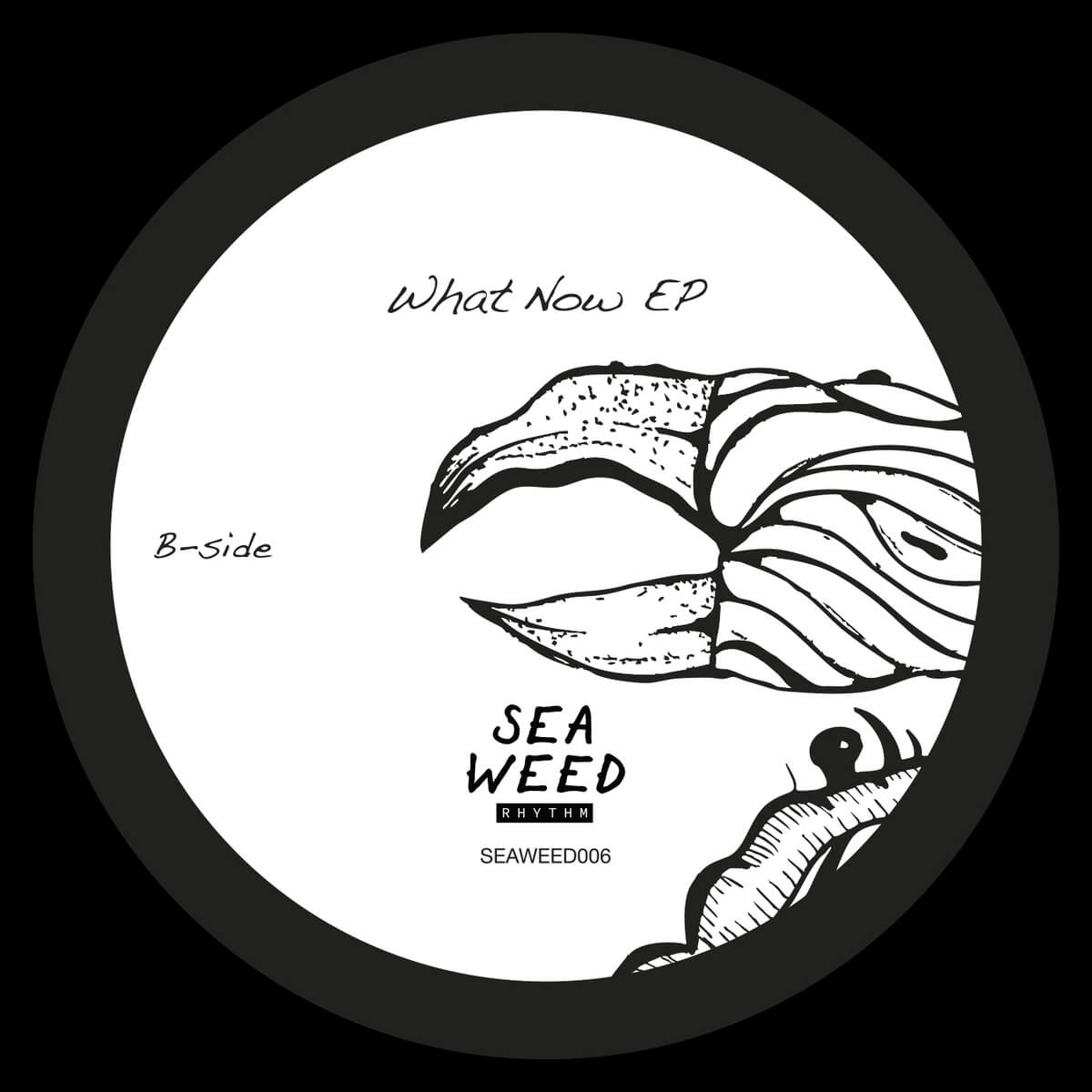 3. Shadi Megallaa - What Now EP