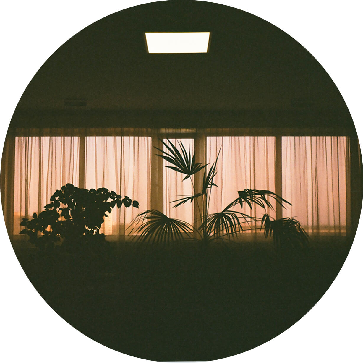 1. Kirill Matveev, Wiklauri, Ataneus, Genning, Etzu Mahkayah - Fix The Pitches On Your Old Turntables To Improve Quality Of Life