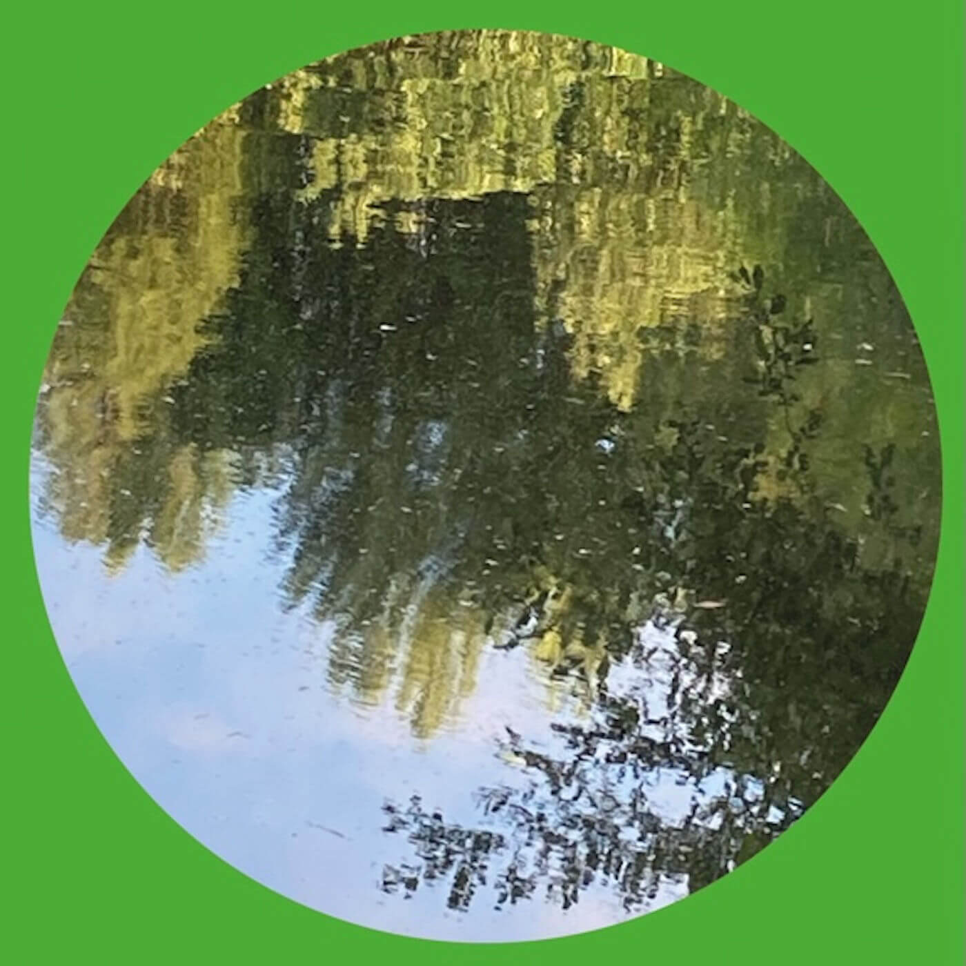 2. Kalani - Tranquil Stirs